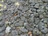 Lava