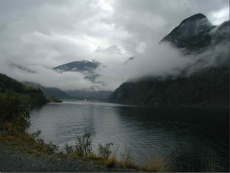 am Aurlandsfjord - Blick zur�ck nach Flam