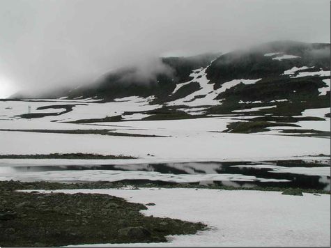 im Fjell kann man im Sommer den Winter finden