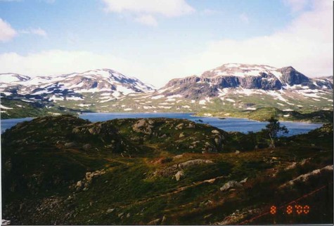 im Fjell