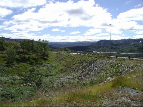 E134 - Blick Richtung Haukeliseter