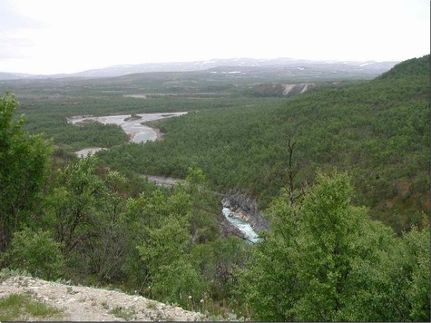 Str. 98 zwischen Ifjord und Borselv am Canon