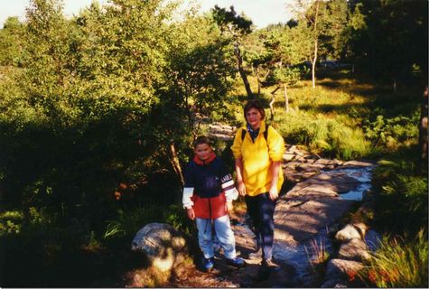 der Aufstieg beginnt recht sanft